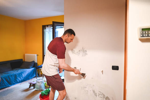 Best Residential Mold Removal  in Gardner, KS