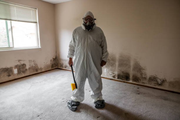 Mold Removal and Inspection in Gardner, KS